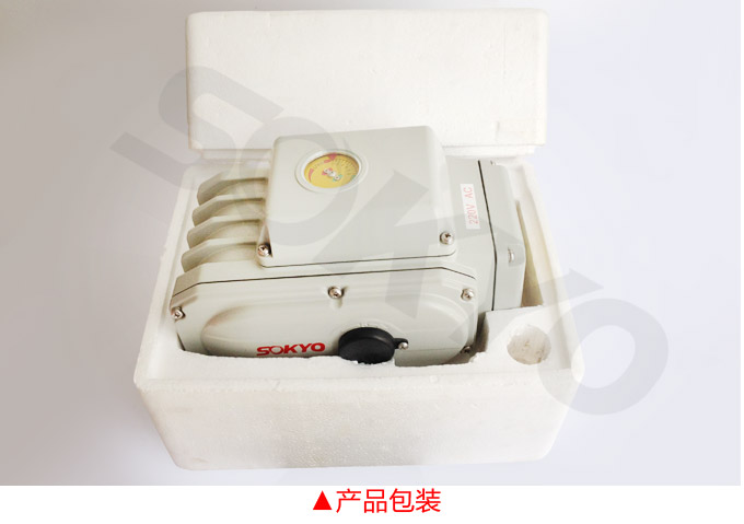 電動執(zhí)行器,電動頭,YTDG-RS1000電動執(zhí)行機構(gòu)產(chǎn)品包裝