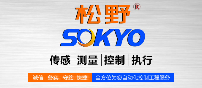  液晶漢顯控制儀，DT609三回路液晶顯示表，液晶顯示控制儀品牌模塊